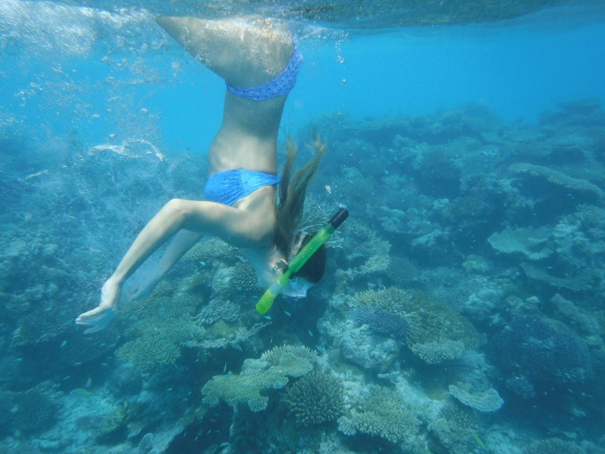 ホテルSurf Trip Maldives スルスドゥー エクステリア 写真
